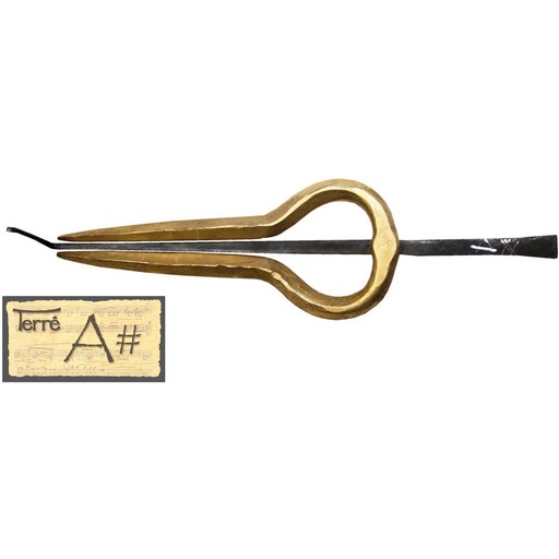 [385207-AIS] Terre Jew's Harp Nepal Pro Ais2