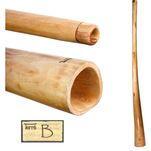 [3814052-B] Terre Didge L-Pro Mahogany B