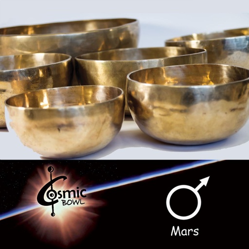 [487305-MK-800] Terre Singing Bowl Lunar Node Orbit 800g