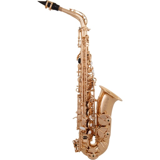 [GR ACAS300G] Ida Maria Grassi Academy Eb Alto Sax Champagne Gold finish GR