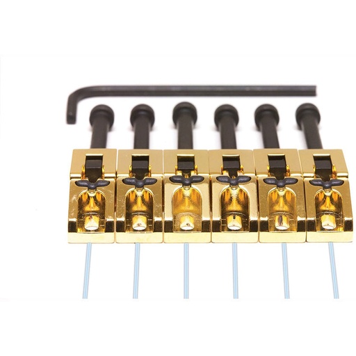 [PN-0080-G6] Graph Tech Ghost - Floyd Rose Saddle Gold 6 String